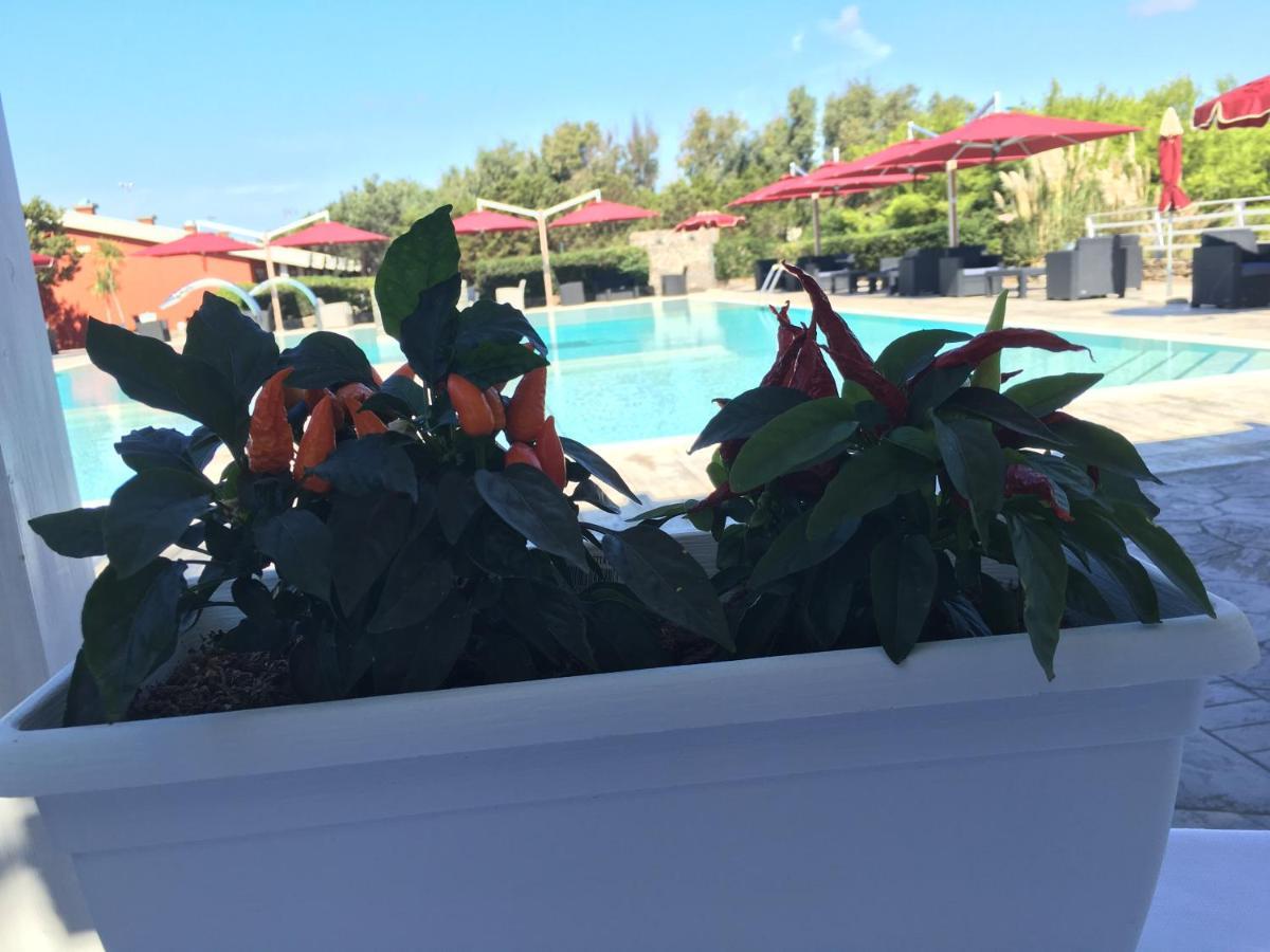 Club Esse Sporting Hotel Stintino Luaran gambar